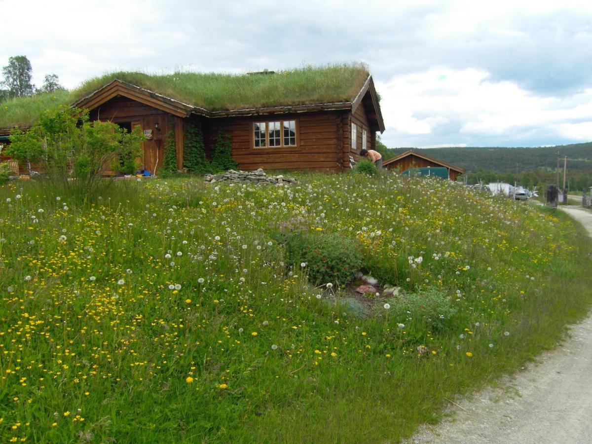 Lokken Fjellgard Vila Folldal Exterior foto